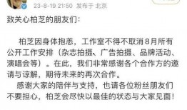 张柏芝爆料孙东海视频在线观看,真相曝光引热议