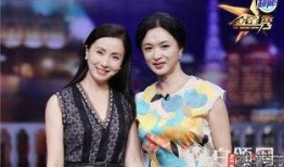 金星秀在线观看完整版,揭秘明星幕后故事，完整版在线观看